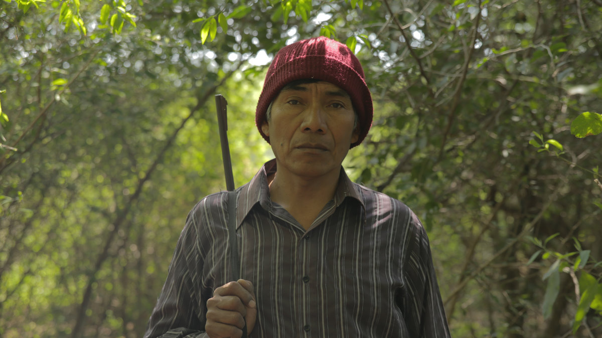Una persona con gorro rojo y camisa de rayas sostiene un palo mientras está de pie en un entorno boscoso con luz natural.

Description generated by AI